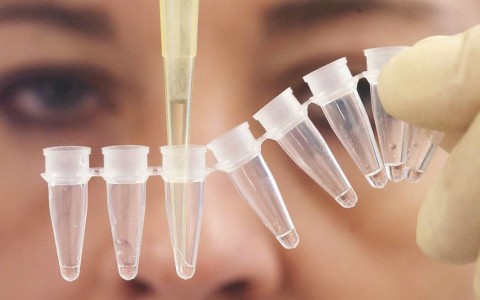 Pruebas de ADN en la maternidad y paternidad