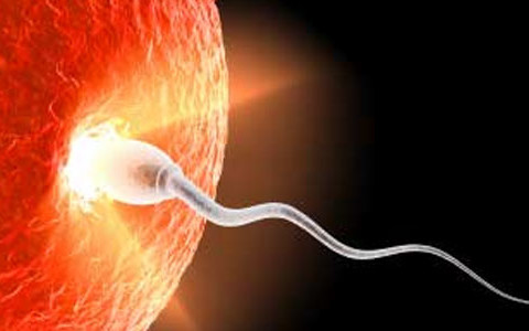 La infertilidad femenina