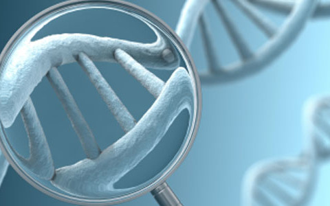 Diagnóstico Genético Preimplantacional