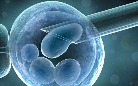 Proceso de Subrogación de la A a la Z