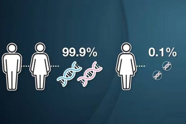Terapia de Reemplazo Mitocondrial (TRM): qué es y cómo se utiliza en casos de infertilidad