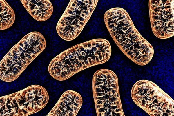 Cómo nacen en BioTexCom niños sin enfermedades genéticas